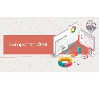 ComponentOne, 1 Developer