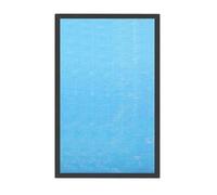 Composite Filter,Compatible For VONLU，Air Purifier Deization Assembly Deodorization Assembly
