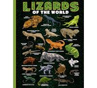 Composition Book: Lizards of the World Notebook | Wide Ruled Blank Lined Writing Exercise Journal For Kids, Students, and Reptile Lovers | Herpetology Study Gift For School and Nature Classrooms