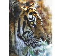 Composition Notebook 8.5" x 11", 200 pages (100 sheets) of wide rule paper with label on the back. Beautifully enhanced tiger portraiton the cover.