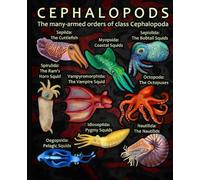Composition Notebook: Cephalopods Octopus Squid Cuttlefish Nautilus Fun Guide, Wide Ruled Science Exercise Book for Kids, Teens, Students, Teachers, School, College and Marine Life Fans Writing Notes