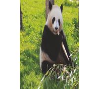 Composition Notebook College Ruled: A beautiful Panda notebook for school, college and office. 110 Pages Format Size: 7.5 X 9.25 inches (19.05 X 23.5 cm)