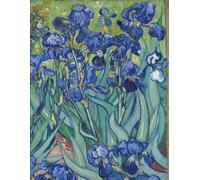 Composition Notebook College Ruled: Irises by Vincent van Gogh: Aesthetic Fine Art Notebook | 120 Pages, 8.5 x 11 | Wide Lined Journal for School, College, Office & Work