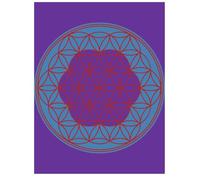 Compositions of Permutations of 123456789: Second (The Art of Prime Factorization)