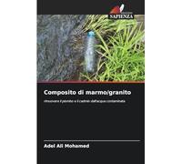 Composito di marmo/granito: rimuovere il piombo e il cadmio dall'acqua contaminata