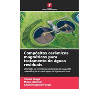 Compósitos cerâmicos magnéticos para tratamento de águas residuais: Utilização de compósitos cerâmicos de magnetite revestidos para a reciclagem de águas residuais