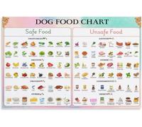 Comprehensive Dog Food Guide Poster Healthy and Forbidden Items Chart Canvas Print Pet Lover Gift