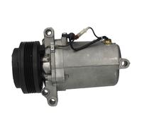 Compresor del aire acondicionado R 134 a PAG 100 10-0133 Airstal para BMW 3 5 X3