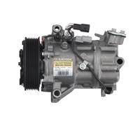 Compresor del aire acondicionado R 134 a PAG 46 10-1399 Airstal para NISSAN