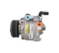 Compresor del aire acondicionado R 134 a PAG 100 10-2547 Airstal para MITSUBISHI