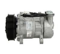 Compresor del aire acondicionado PAG 46 TSP0159242 DELPHI para PEUGEOT CITROËN