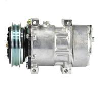 Compresor, aire acondicionado MAHLE ACP 174 000S para KERAX 11.123 1998-2006