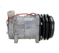 Compresor del aire acondicionado R 134 a PAG 46 ACP 992 000S MAHLE para LOTUS