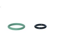 Compresor, aire acondicionado NRF 320058 para MEGANE CC (EZ0/1_) 1.5 2010-2015