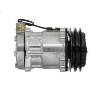 Compresor, aire acondicionado THERMOTEC KTT090391 para DAF F 2300 8.25 1986-1991
