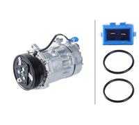 Compresor De Aire Acondicionado 12 V HELLA Ø 119 mm 6 Ranuras