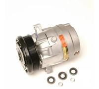 Compresor del aire acondicionado PAG 46 CS20009-11B1 DELPHI para BUICK LESABRE