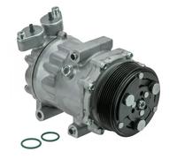 Compresor del aire acondicionado PAG 46 CS20351 DELPHI para FORD TRANSIT Autobús