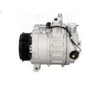 Compresor del aire acondicionado PAG 46 CS20587 DELPHI para MERCEDES-BENZ