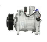 Compresor del aire acondicionado PAG 46 CS20588 DELPHI para BMW 1 3 3 Touring