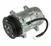 Compresor del aire acondicionado PAG 46 TSP0159031 DELPHI para CITROËN PEUGEOT