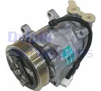 Compresor del aire acondicionado PAG 46 TSP0159424 DELPHI para PEUGEOT CITROËN