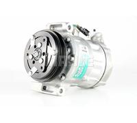 Compresor del aire acondicionado R 1234yf PAG 46 SP-A2 ACP 1190 000P MAHLE