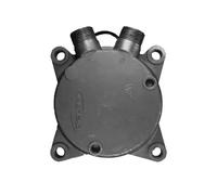 Compresor del aire acondicionado R 134 a PAG 100 10-1521 Airstal