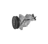 Compresor del aire acondicionado R 134 a PAG 100 813256 VALEO para RENAULT DACIA