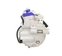 Compresor del aire acondicionado R 134 a PAG 100 KTT095008 THERMOTEC para AUDI