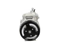 Compresor del aire acondicionado R 134 a PAG 46 090.205.009.876 BV PSH para VW