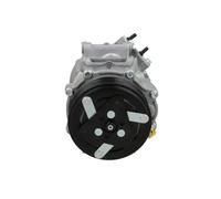 Compresor del aire acondicionado R 134 a PAG 46 090.225.044.876 BV PSH para DS