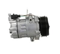 Compresor del aire acondicionado R 134 a PAG 46 090.445.004.200 BV PSH para VW