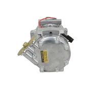 Compresor del aire acondicionado R 134 a PAG 46 090.505.032.876 BV PSH para FIAT