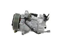 Compresor del aire acondicionado R 134 a PAG 46 090.575.036.000 BV PSH