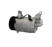 Compresor del aire acondicionado R 134 a PAG 46 1 986 AD1 115 BOSCH