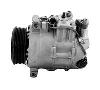 Compresor del aire acondicionado R 134 a PAG 46 10-0125 Airstal