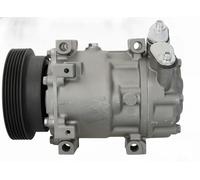 Compresor del aire acondicionado R 134 a PAG 46 10-1031 Airstal