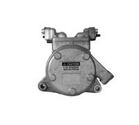 Compresor del aire acondicionado R 134 a PAG 46 10-2219 Airstal para JEEP