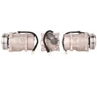 Compresor del aire acondicionado R 134 a PAG 46 51-0021 ELSTOCK para CITROËN