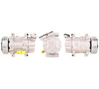 Compresor del aire acondicionado R 134 a PAG 46 51-0045 ELSTOCK para CITROËN