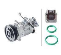Compresor del aire acondicionado R 134 a PAG 46 8FK 366 200-681 HELLA