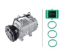Compresor del aire acondicionado R 134 a PAG 46 8FK 366 200-801 HELLA