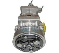 Compresor del aire acondicionado R 134 a PAG 46 ACP 10 000S MAHLE para CITROËN