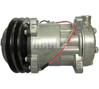Compresor del aire acondicionado R 134 a PAG 46 ACP 1049 000S MAHLE