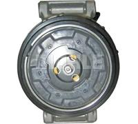 Compresor del aire acondicionado R 134 a PAG 46 ACP 57 000S MAHLE