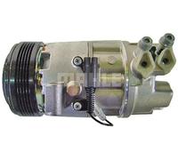 Compresor del aire acondicionado R 134 a PAG 46 ACP 811 000S MAHLE para BMW 3