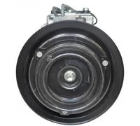Compresor del aire acondicionado R 134 a PAG 46 ACP 969 000S MAHLE