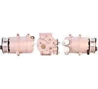 Compresor del aire acondicionado R 134 a PAG 46 ACP561 LUCAS para FORD VOLVO