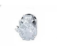 Compresor del aire acondicionado R 134 a PAG 46 YF 090.595.002.876 BV PSH
